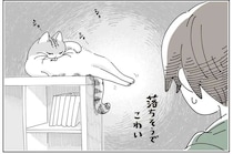 猫が落ちそうで怖い！ テレビ台の上で毛づくろいする姿を見守っていたら...／夜は猫といっしょ8