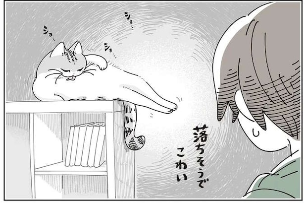 猫が落ちそうで怖い！ テレビ台の上で毛づくろいする姿を見守っていたら...／夜は猫といっしょ8