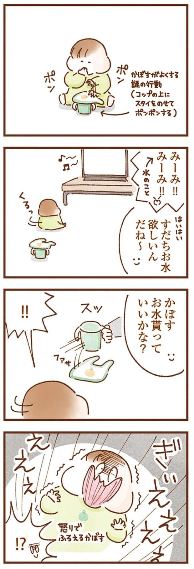16245888.webp