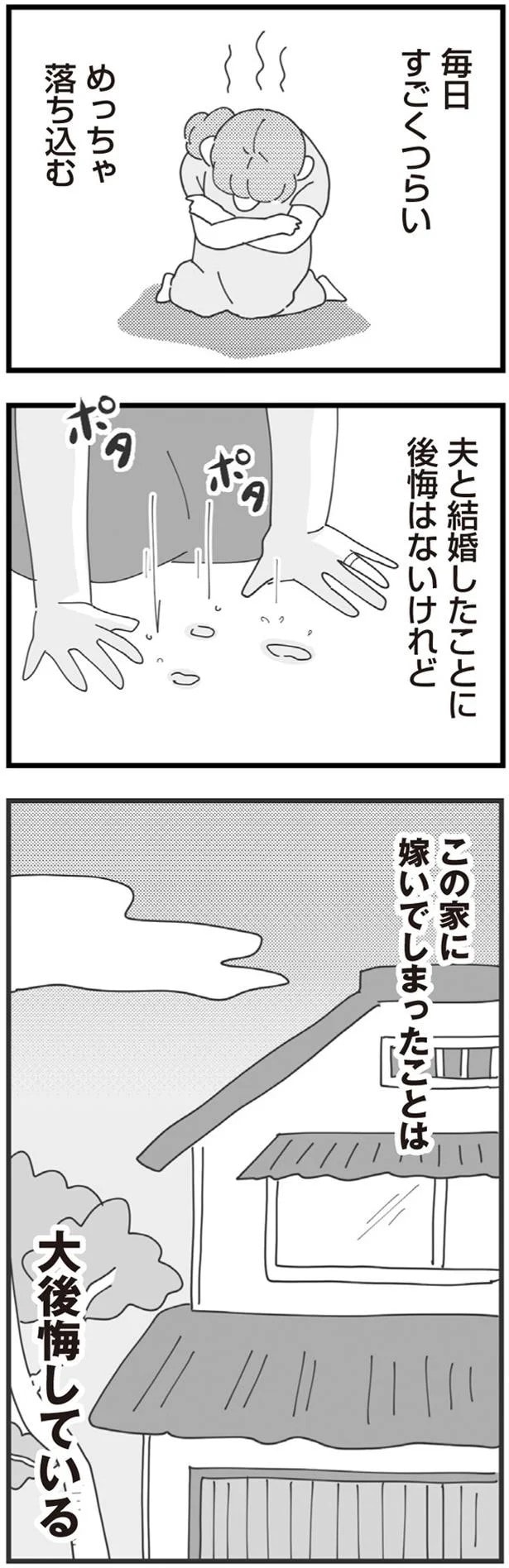13480743.webp