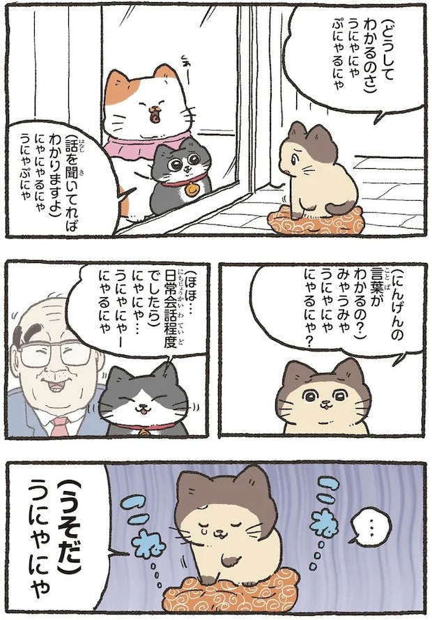 05-03.webp