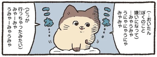 飼い主に嫌われたと泣く猫さん。言葉がわかるねこおじがアドバイスを／ねこに転生したおじさん 6