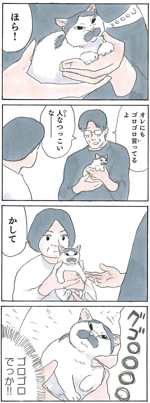 13312701.webp