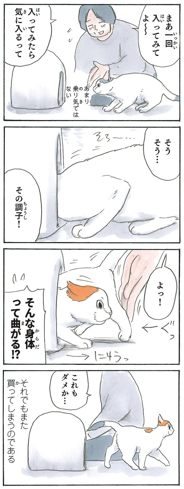 13312710.webp