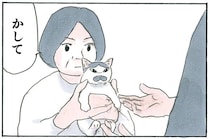 完全になじんだ保護猫。父が抱っこしたら「ゴロゴロ」、母が抱っこしたら...え？／拾い猫のモチャ7