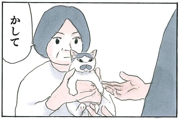 完全になじんだ保護猫。父が抱っこしたら「ゴロゴロ」、母が抱っこしたら...え？／拾い猫のモチャ7