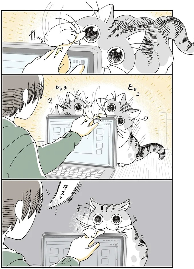 15588705.webp