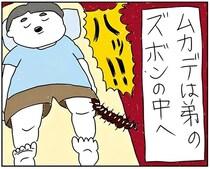 地獄...家族団らん中に巨大ムカデ襲来！ 弟のズボンに侵入して...あ゛あ゛あ゛！／カッラフルなエッッブリデイ2