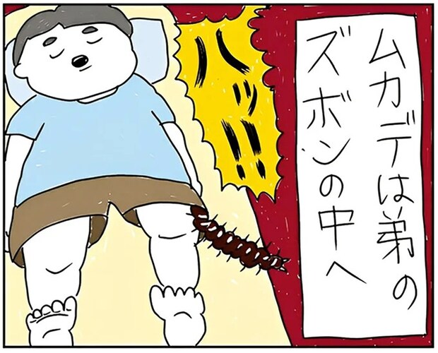 地獄...家族団らん中に巨大ムカデ襲来！ 弟のズボンに侵入して...あ゛あ゛あ゛！／カッラフルなエッッブリデイ2