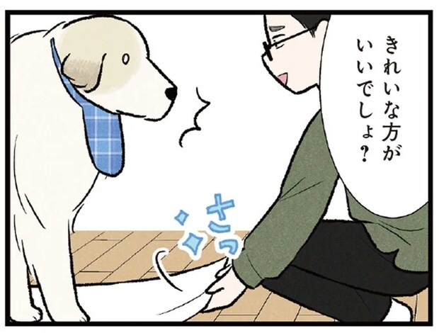 「このタオルにさわらないで！」こだわりの強い大型犬。満足そうな顔が愛おしい／今日のルンルン