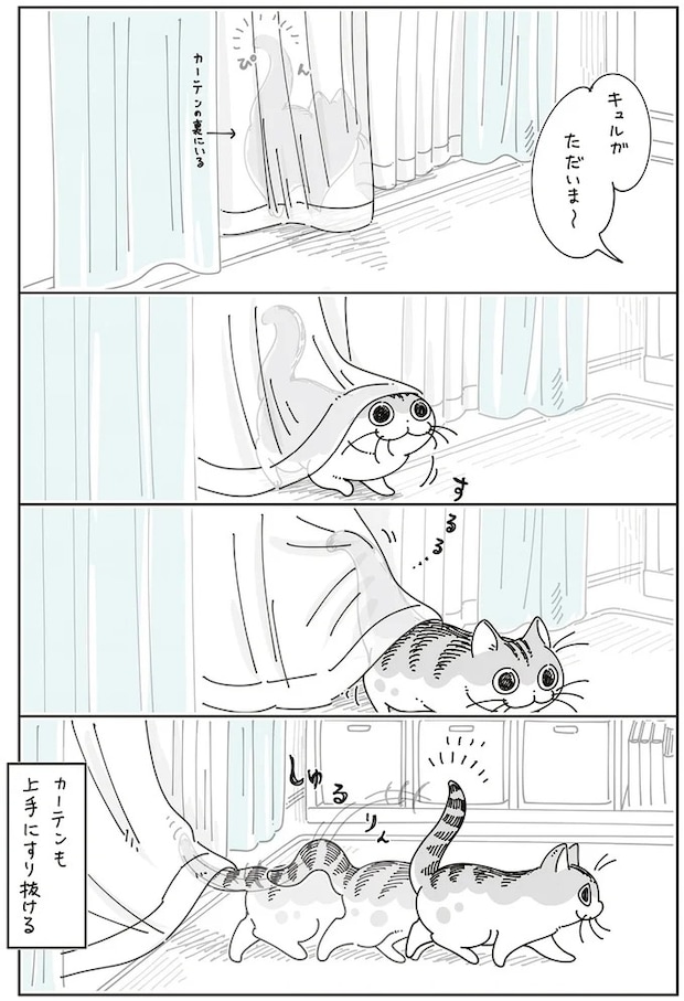 15588709.webp
