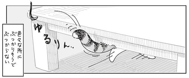 ごきげんな時の愛猫のしっぽはぶつかりそうでぶつからない。でも飼い主には...？／夜は猫といっしょ8