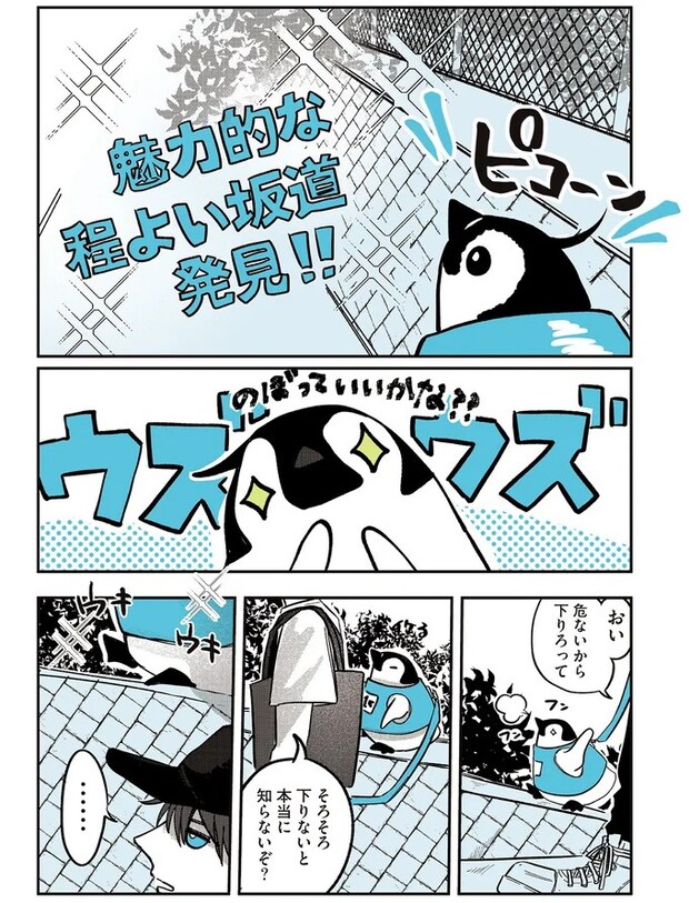 15908234.webp