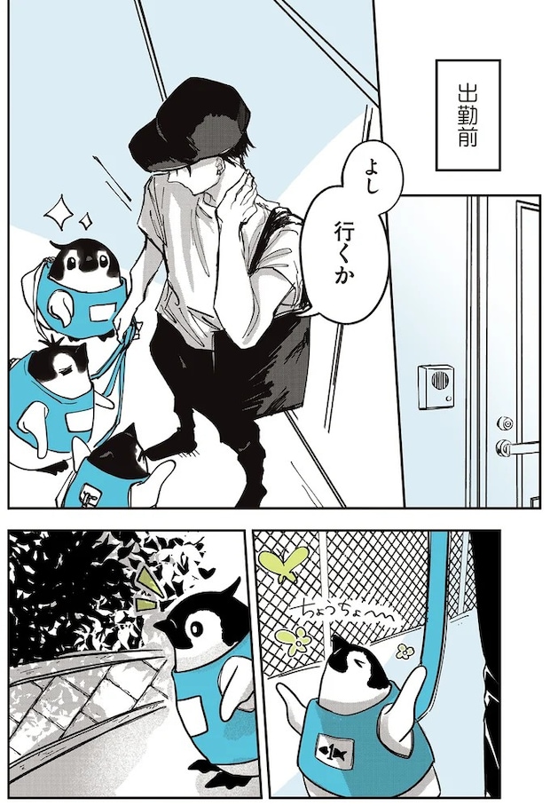 15908233.webp