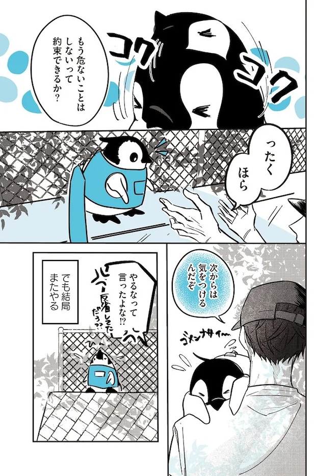 15908236.webp