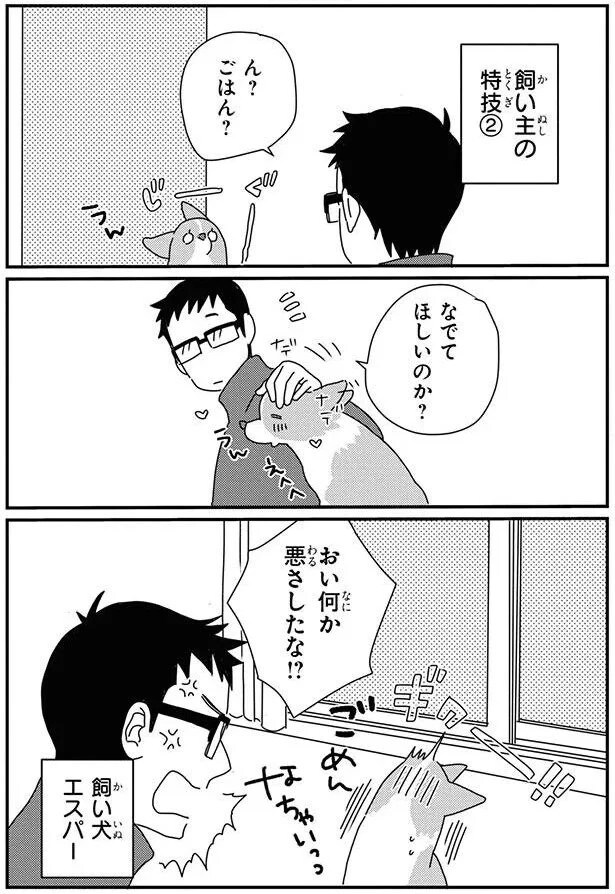 16053067.webp