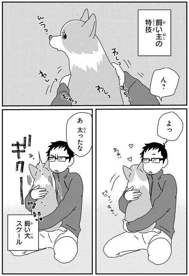 16053066.webp