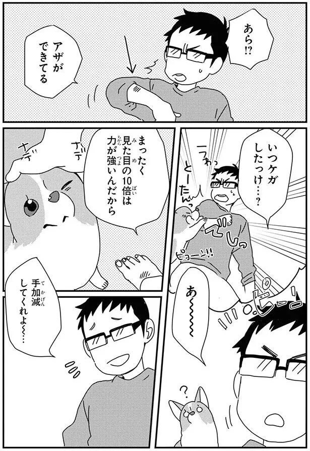 16053068.webp