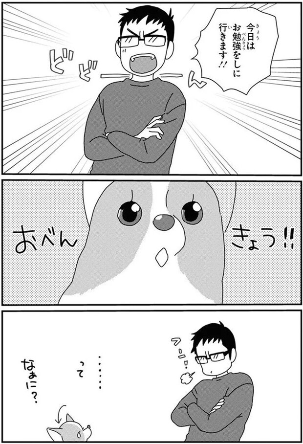 16053094.webp