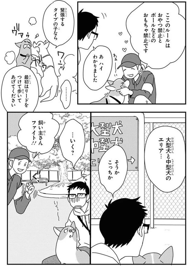 16053097.webp