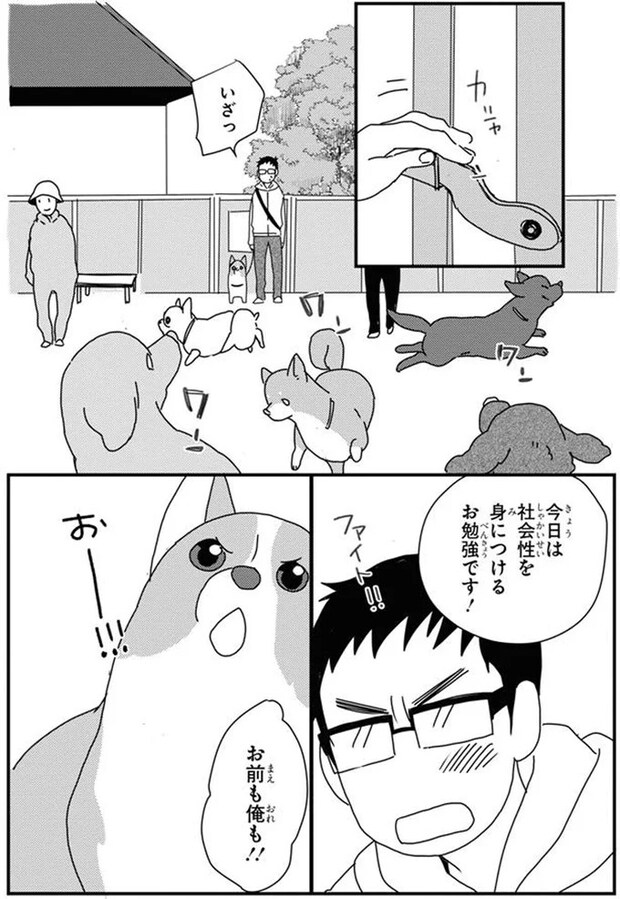 16053098.webp