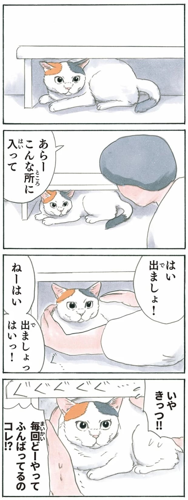 13344019.webp