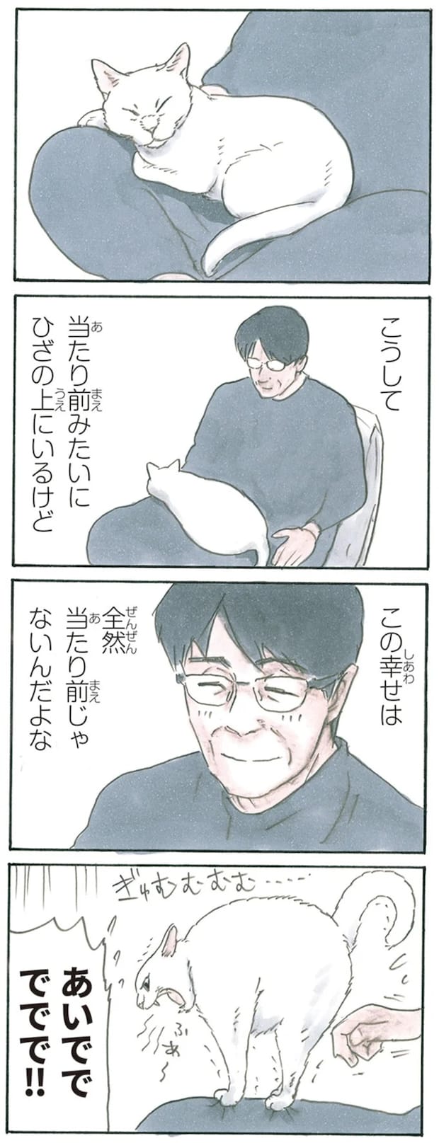 13344017.webp