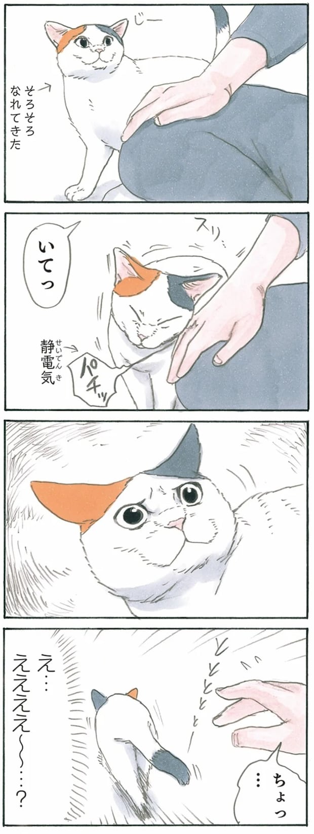 13344018.webp