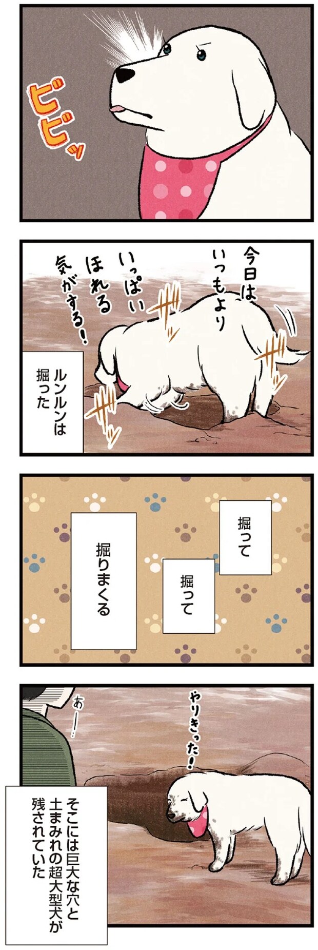 06-02.webp