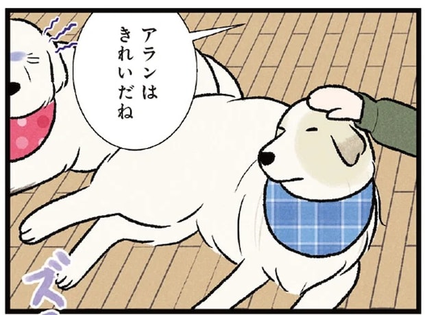 手足は真っ黒だけどほめて！ 穴掘りが趣味の大型犬。やきもちを焼く姿が微笑ましい／今日のルンルン