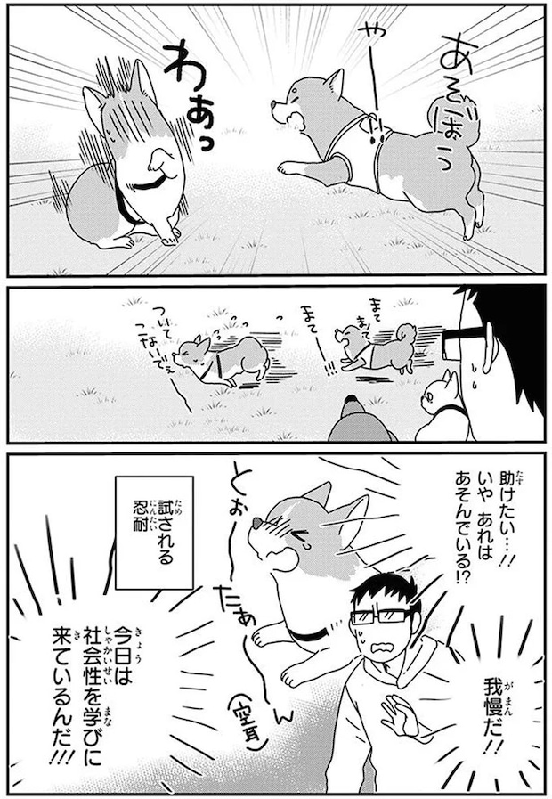 16070757.webp