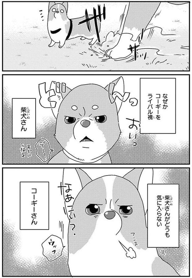 16070756.webp