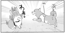 柴犬とコーギーが、なぜかドッグランでライバル関係に。見守る飼い主の本音は／あしょんでよッ10