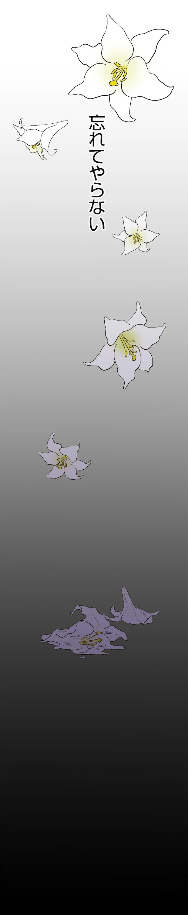 15127187.webp