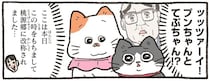 猫たちを独占だと...？ 敏腕社長が会社のリモート化を考えたある日の出来事／ねこに転生したおじさん 6