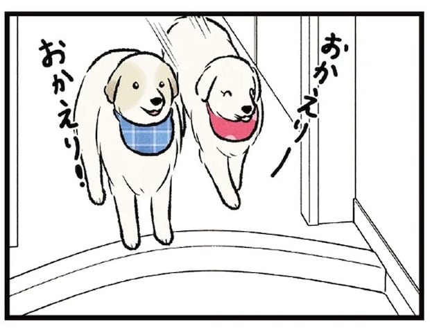 父が帰ると玄関でお出迎えする大型犬。息子が帰ると...え？／今日のルンルン