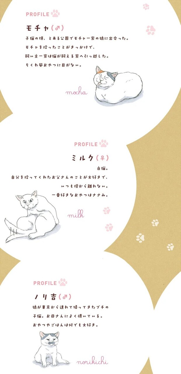 12975674.webp