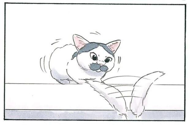 撮れた！ 飼い主がカメラに収めたかった猫の「ある瞬間」とは？／拾い猫のモチャ8