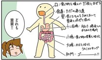 つまりを取って、つないで直して...人間の「ごはんの通り道」に一喜一憂する外科医たち／腐女医の医者道！6