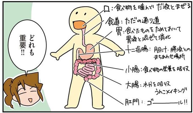 つまりを取って、つないで直して...人間の「ごはんの通り道」に一喜一憂する外科医たち／腐女医の医者道！6