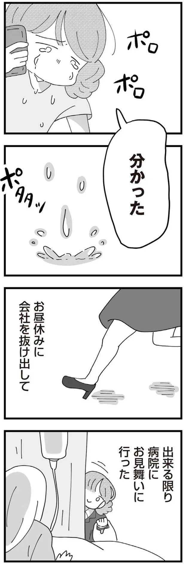 13483267.webp