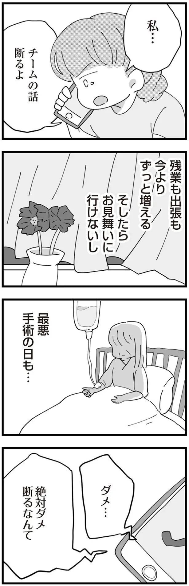 13513232.webp