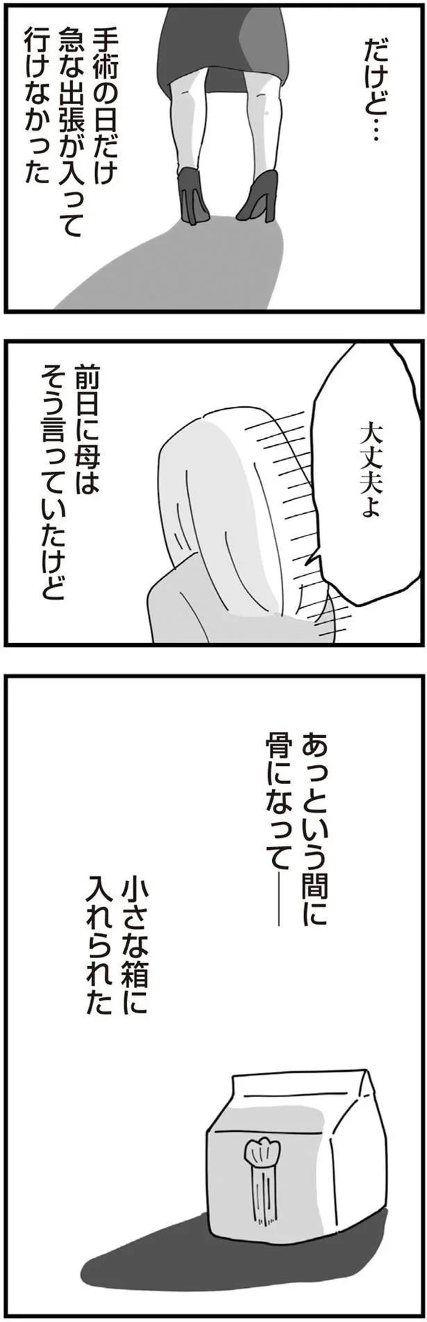 13483268.webp