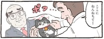 くるむと危険！ 愛猫をおくるみに包んでみたら可愛さが限界突破して...／ねこに転生したおじさん 6