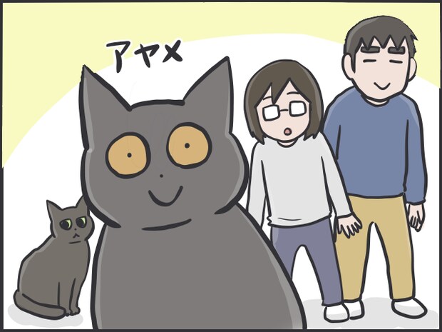猫目線1.PNG