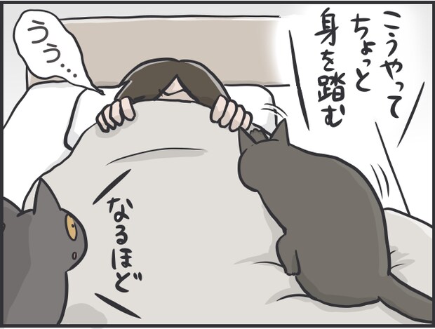 猫目線2.PNG