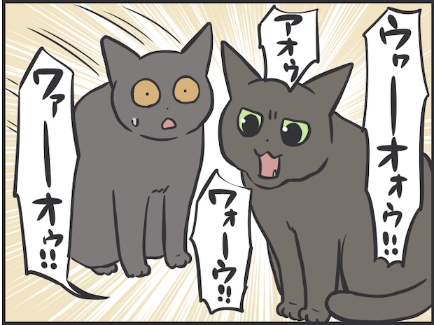 猫目線6.PNG