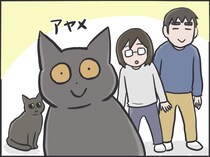 猫たちは普段どんなことを考えているの？ 猫目線で想像してみると...愛おしすぎる！／フニャコ