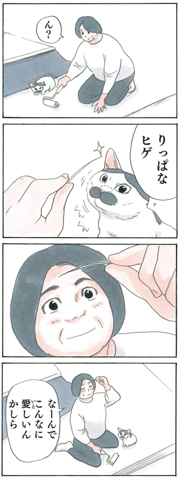 13344037.webp
