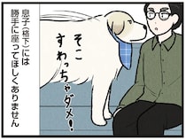 ソファは僕の場所！ 大型犬に格下認定された息子は座れるのか⁉／今日のルンルン